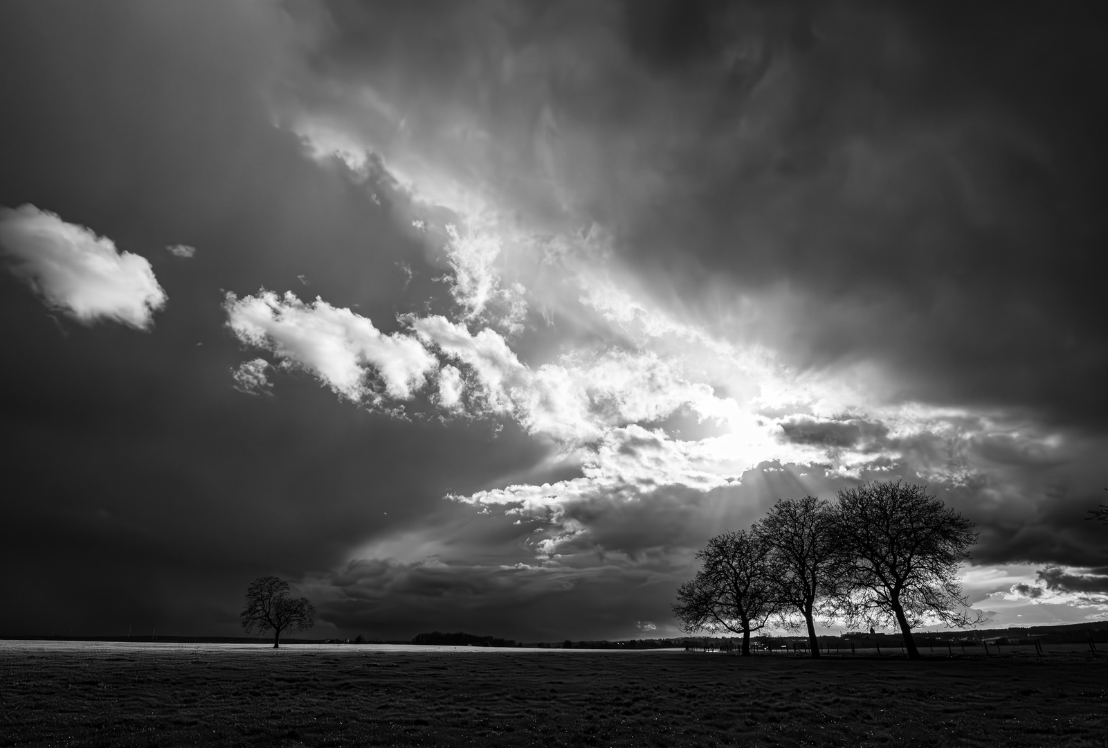 Märzbiesen Sonntag mit Sonne 24.3.2024 (sw)