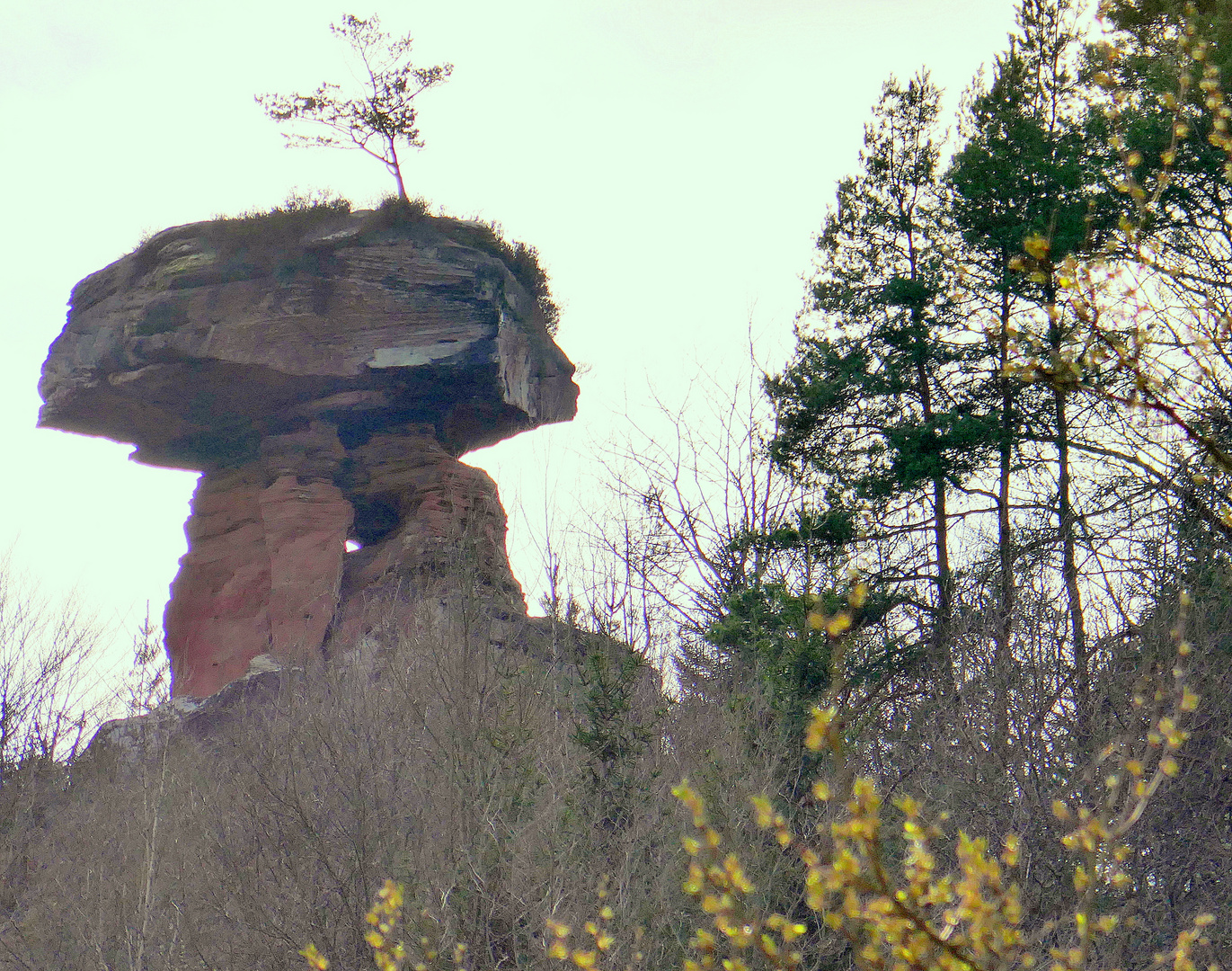 Märzbild:Teufelstisch