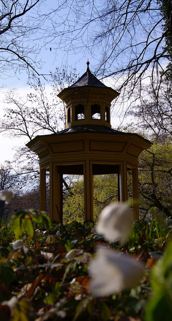 Märzenbecher im April...(3.1)