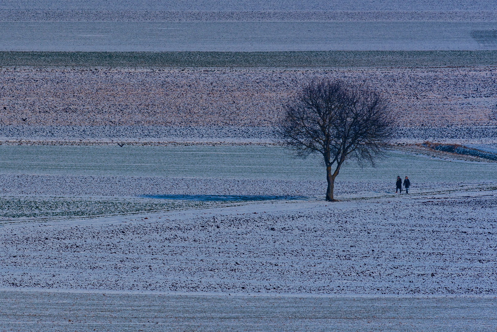 Märzenschnee