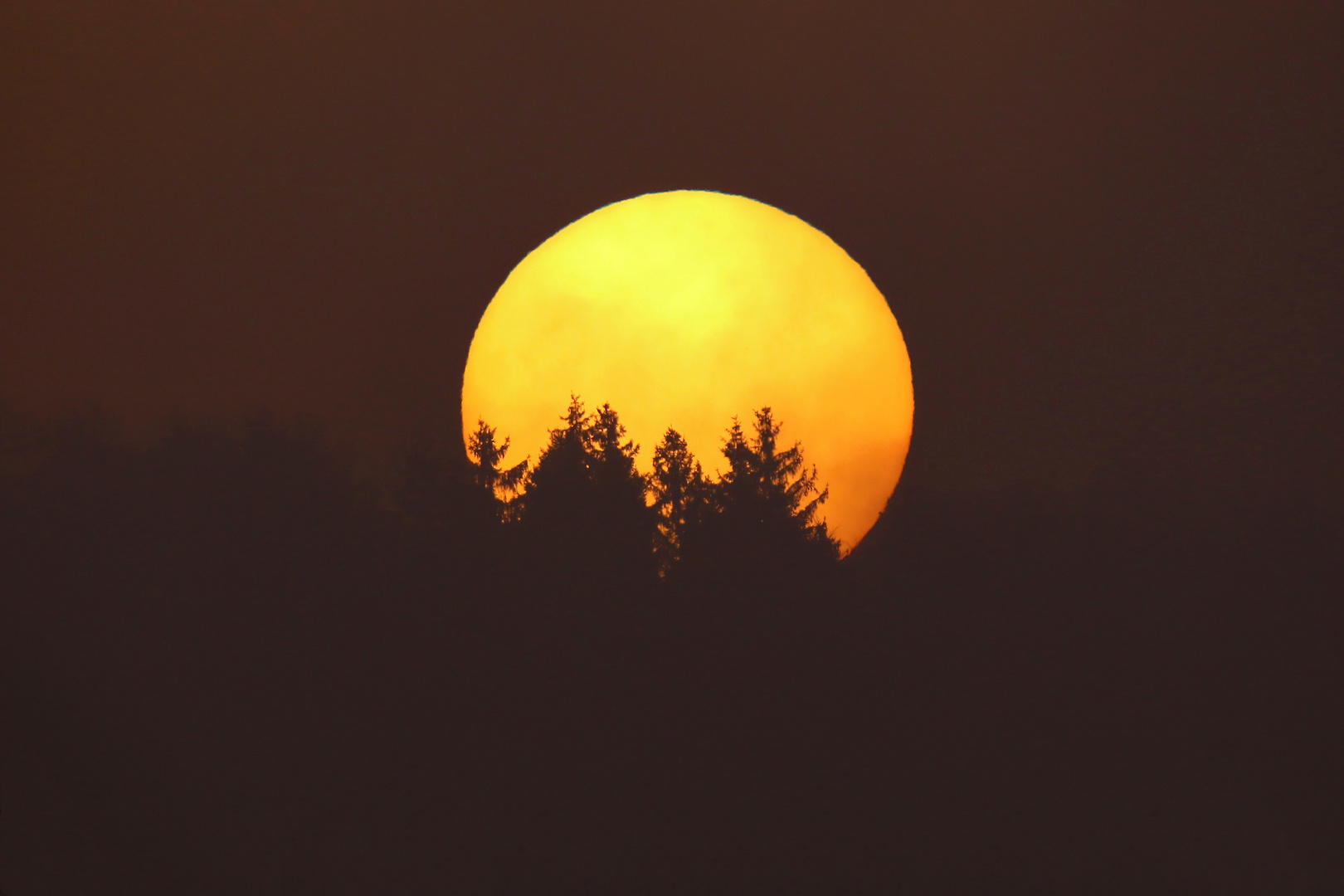 Märzensonne -  Und immer wieder geht die Sonne auf...