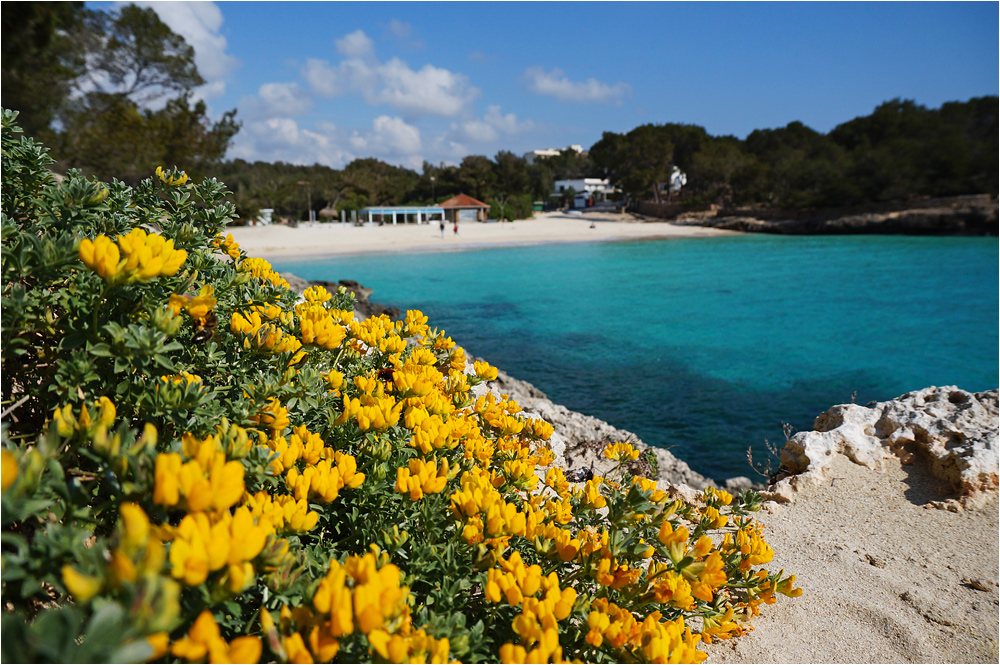 Märzfarben in der Cala ...