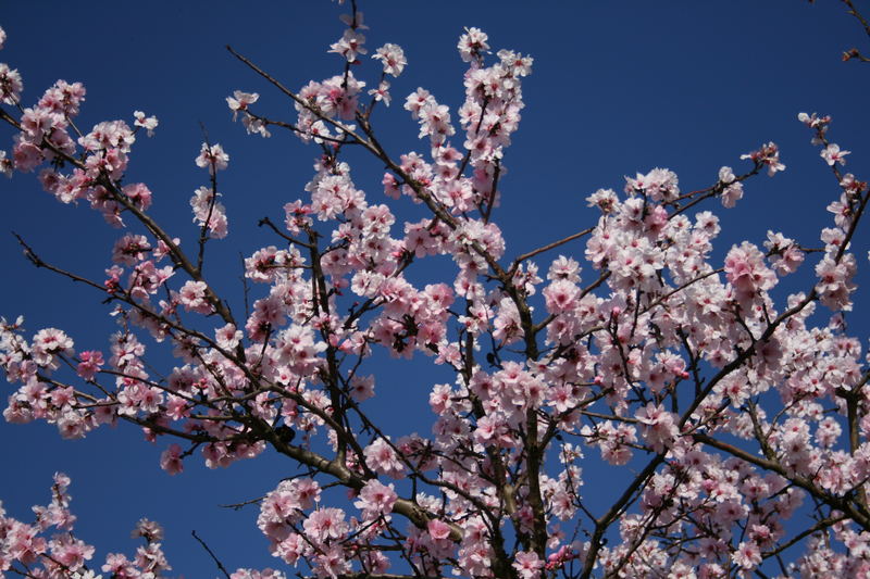 Märzhimmel