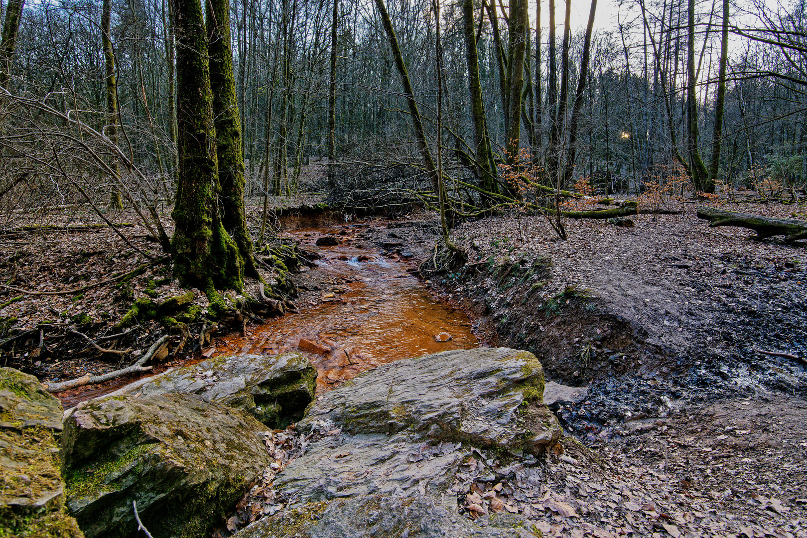 Märzimpressionen am "roten" Netzbach  (3)