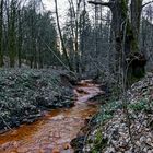 Märzimpressionen am "roten" Netzbach  (4)