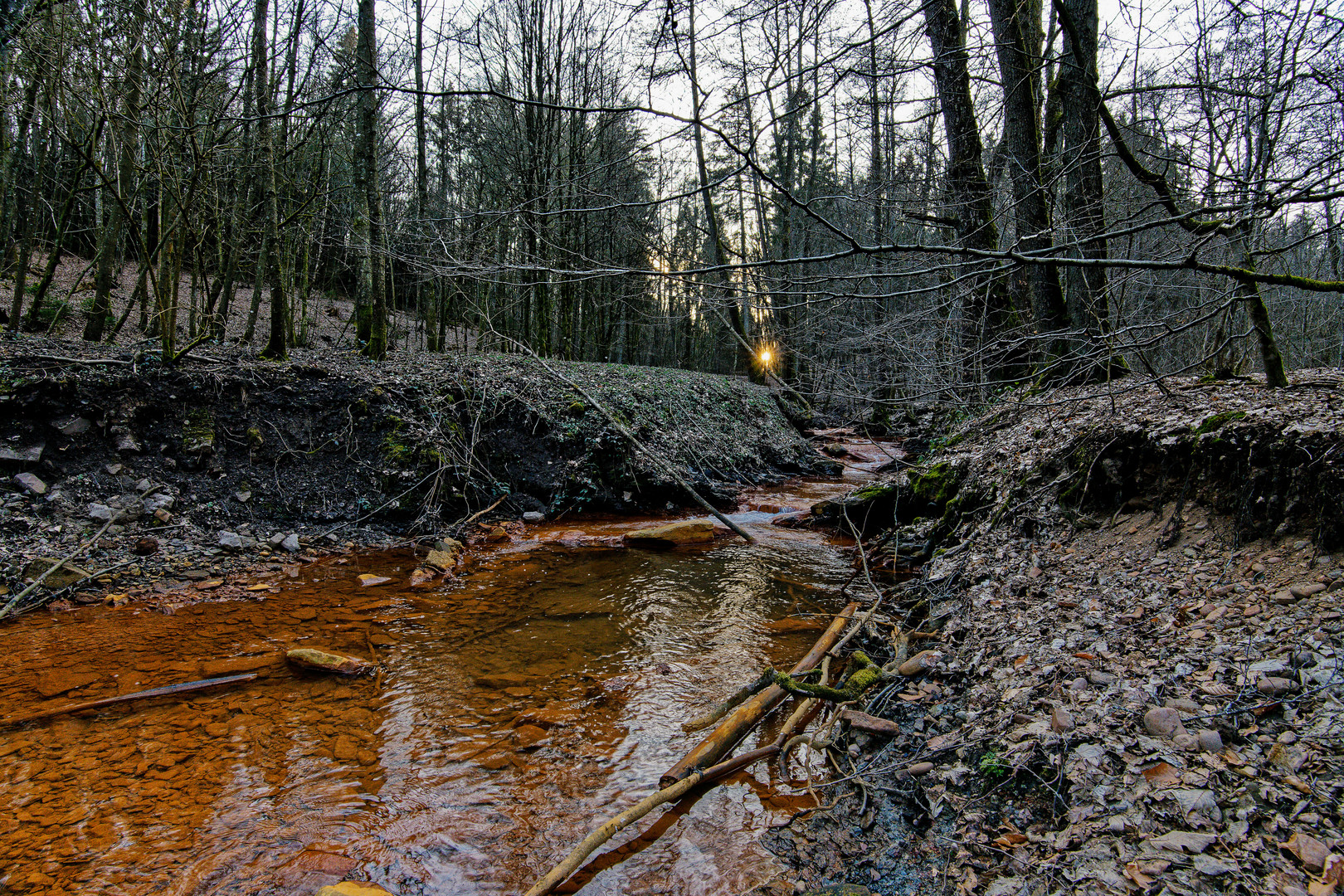 Märzimpressionen am "roten" Netzbach  (5)