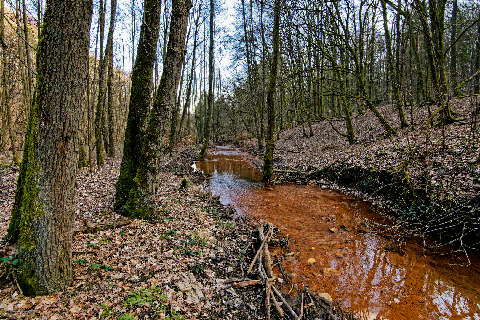 Märzimpressionen am "roten" Netzbach