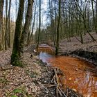 Märzimpressionen am "roten" Netzbach