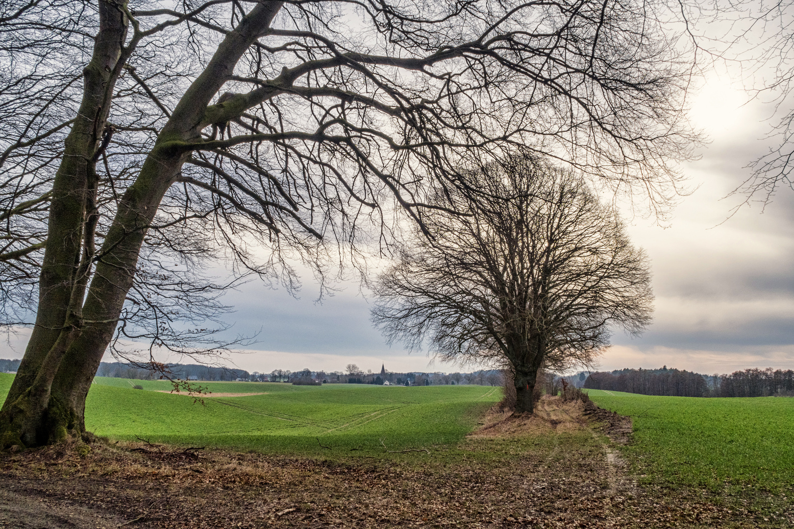 Märzlandschaft