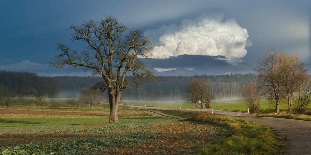 Märzlicht bei Königsbach-Stein