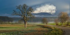 Märzlicht bei Königsbach-Stein