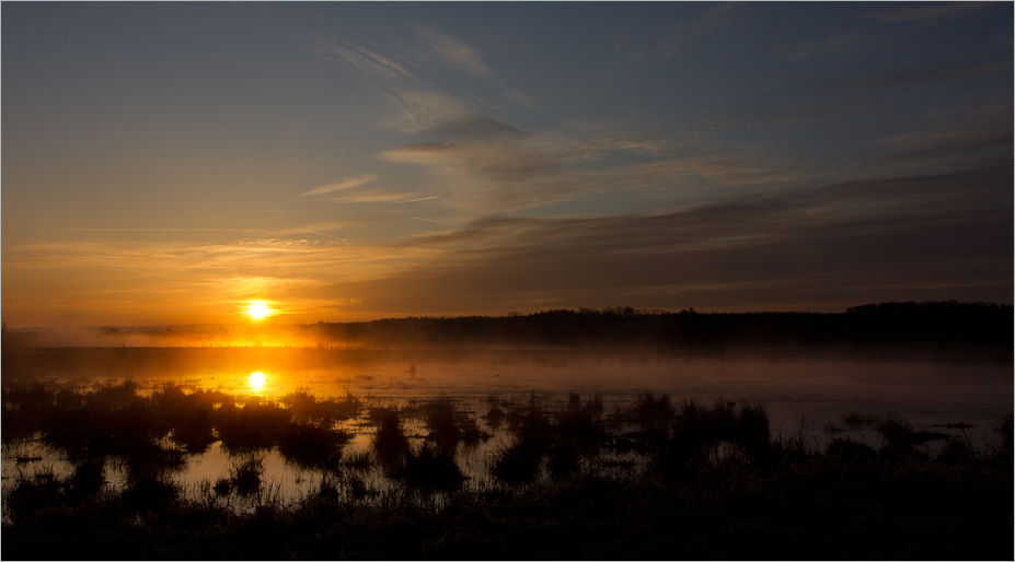 Märzmorgen 2