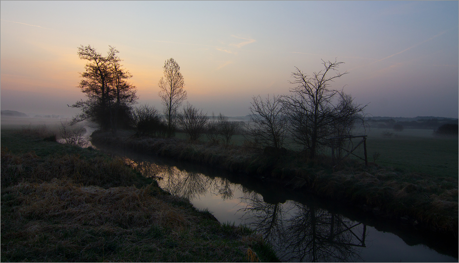 Märzmorgen 6