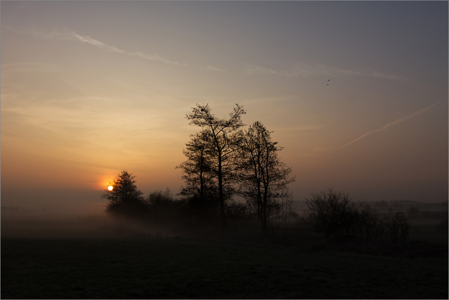 Märzmorgen 8