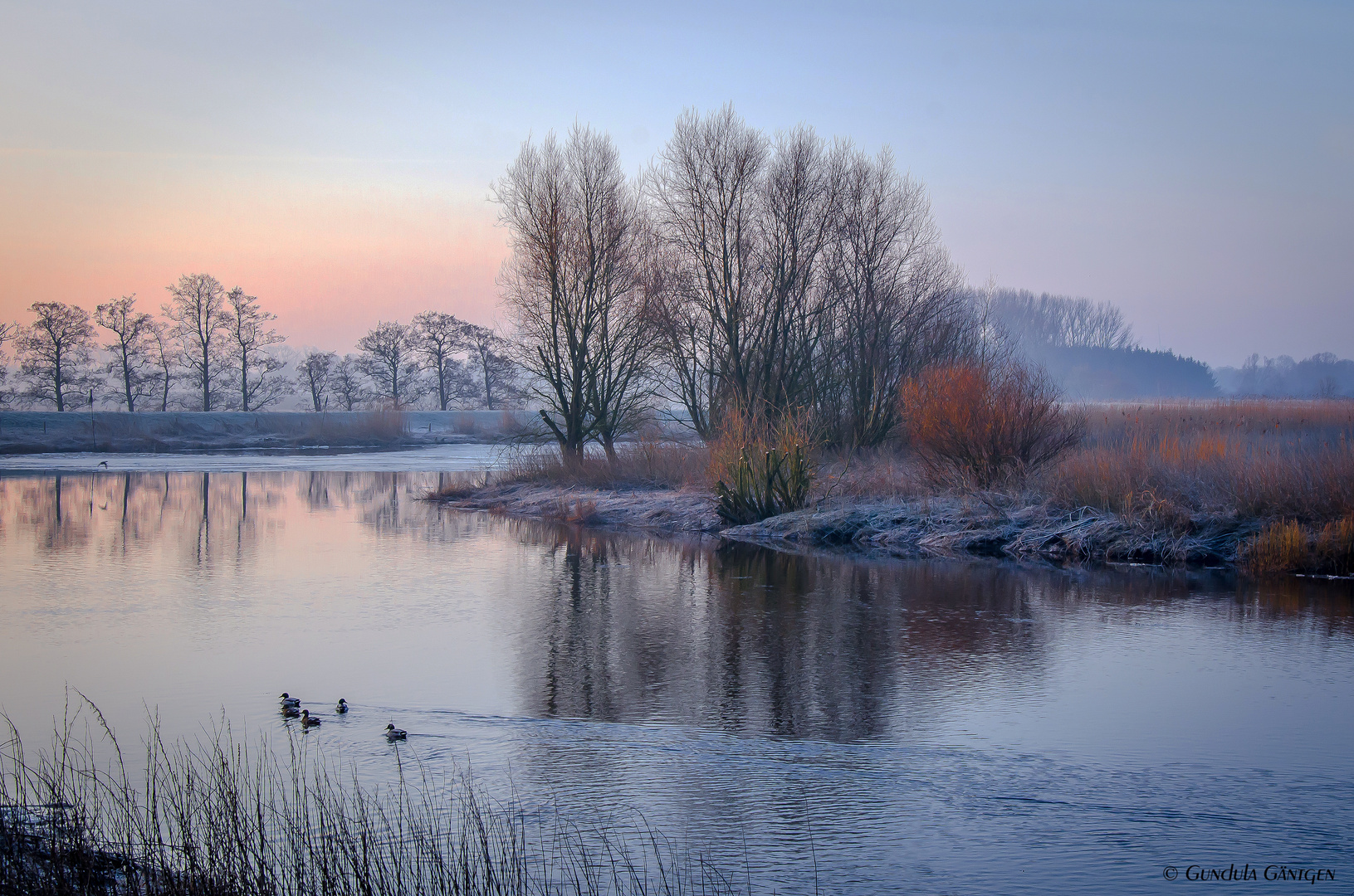 Märzmorgen am Fluss