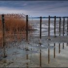 Märzmorgen am Untersee