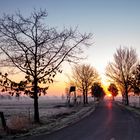 Märzmorgen bei Steinfurt (Gosen-Neu-Zittau)