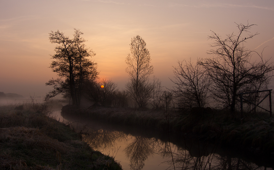 Märzmorgen7