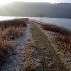 Märzmorgenweg zum Baum im Wasser