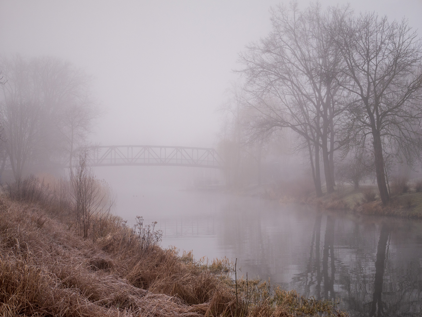 Märznebel