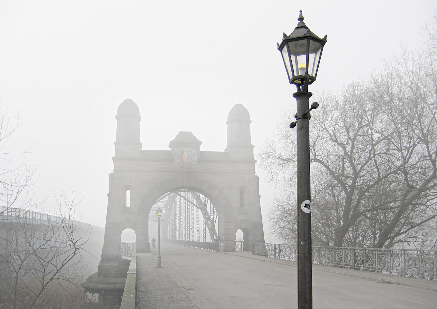 Märznebel    alte harburger Elbbrücke