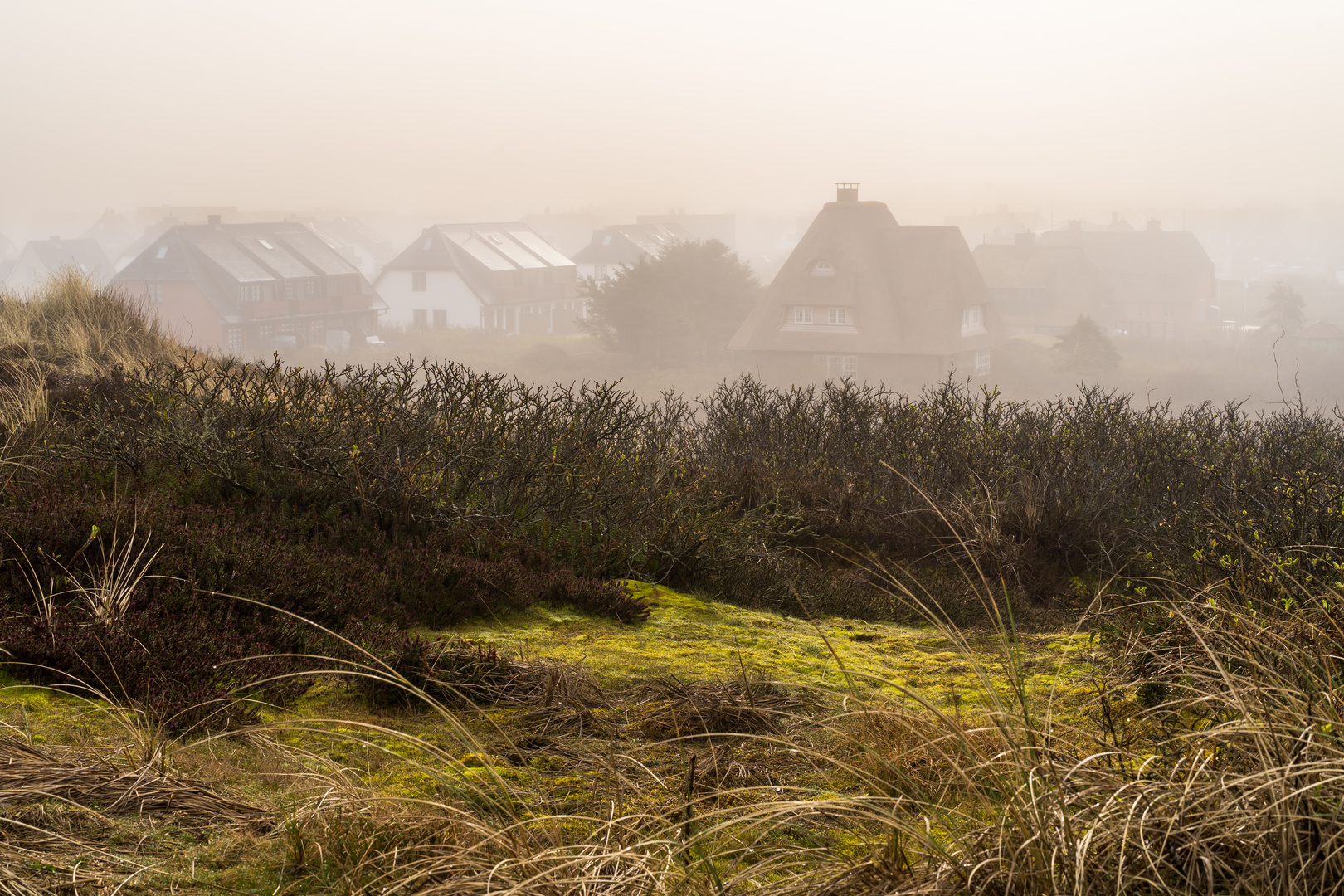 Märznebel heute morgen