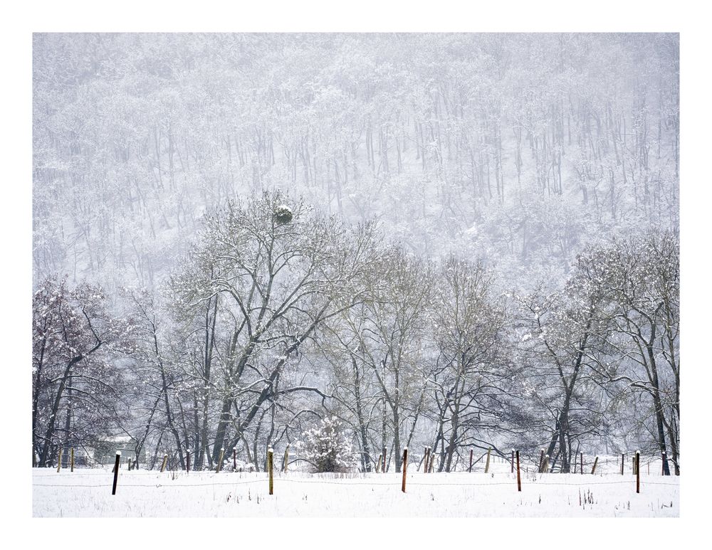 Märzschnee