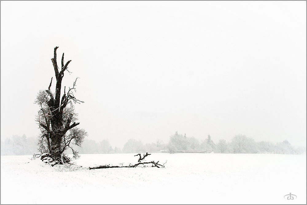 Märzschnee