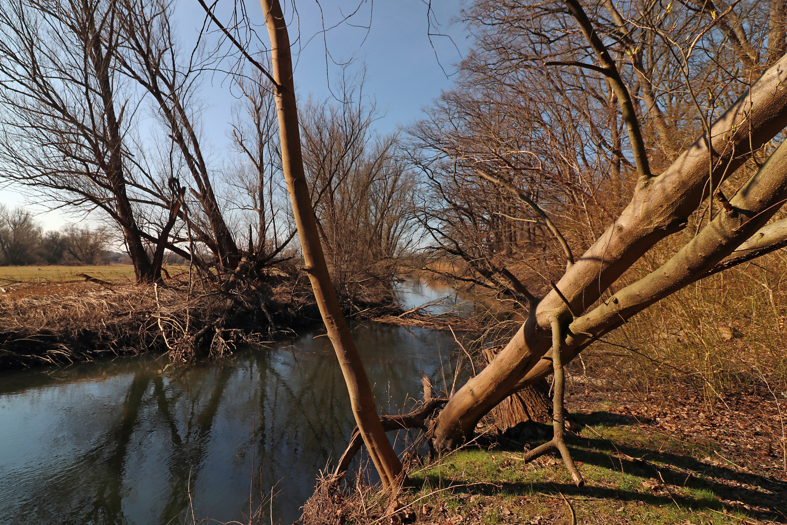 Märzsonne am Fluss