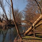 Märzsonne am Fluss