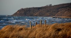 Märzsonne auf der Insel