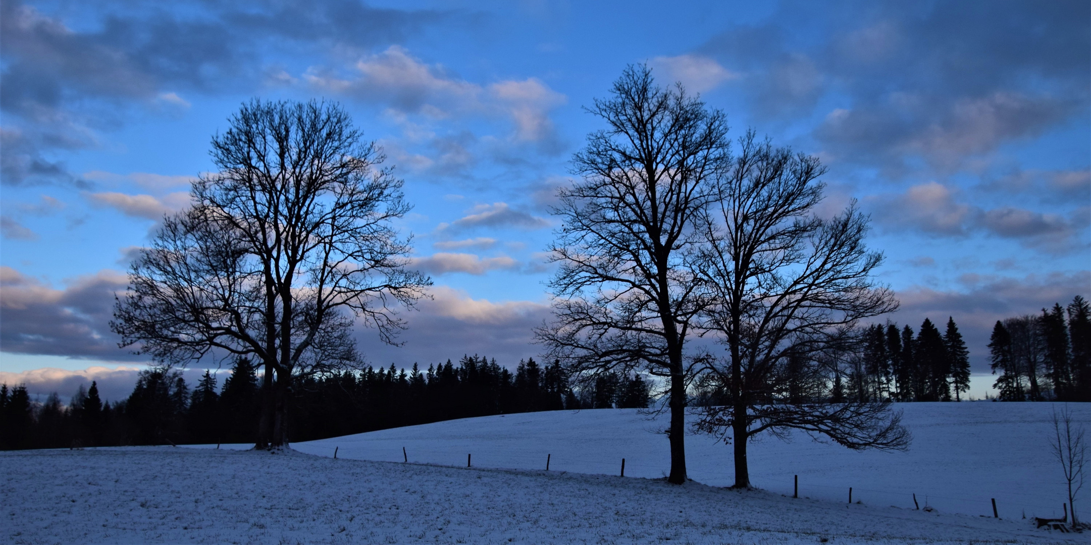 Märzstimmung 2