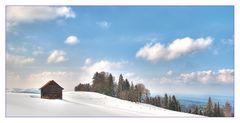 Märzstimmung auf der frisch verschneiten Höhe