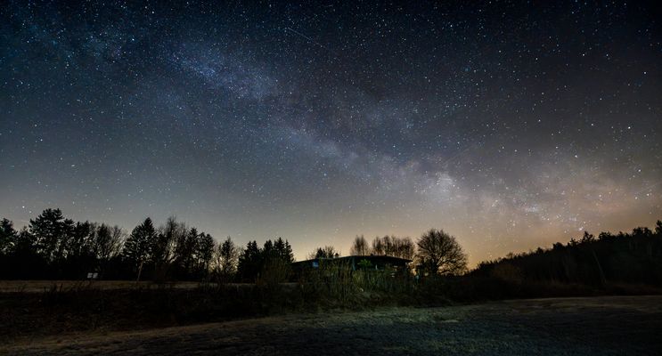 Märzstraße im Pfälzerwald