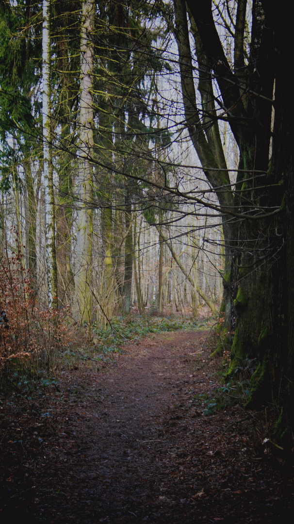 Märzwege ins Licht