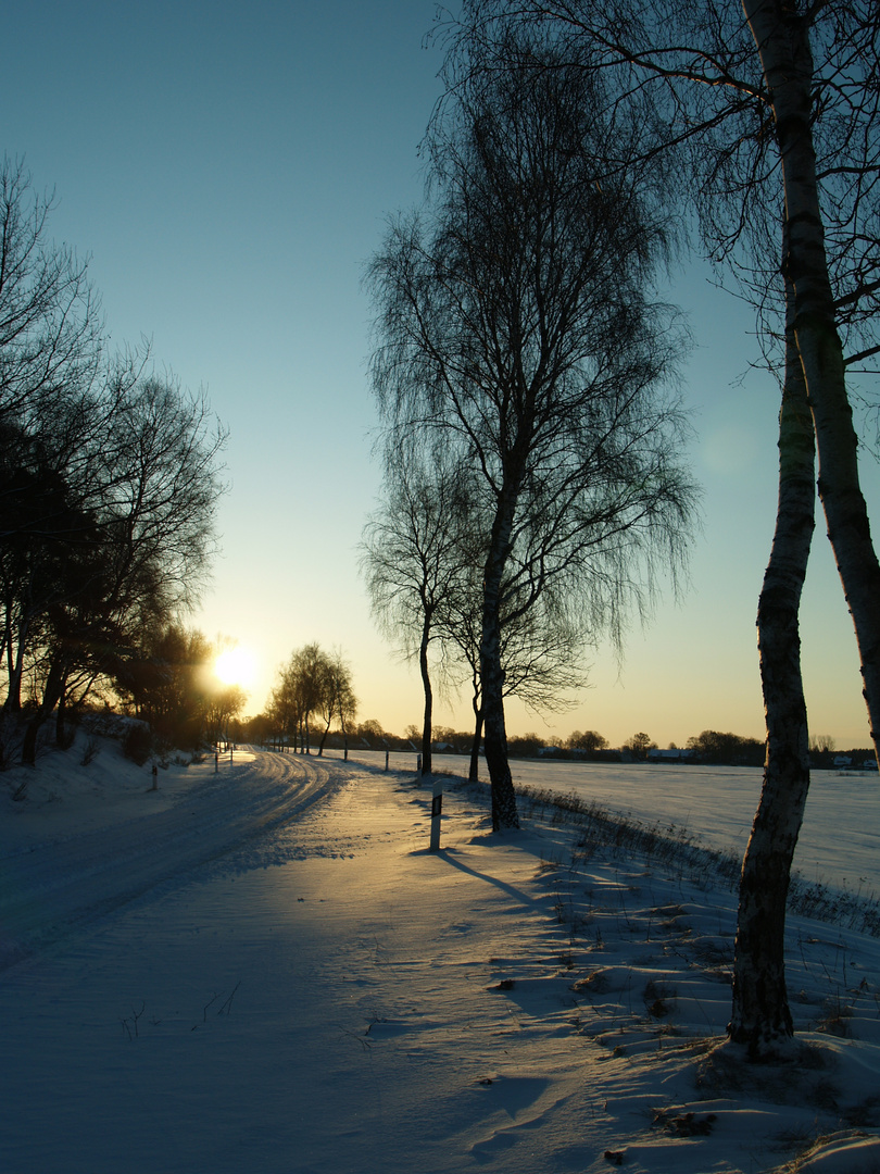 Märzwinter 2010