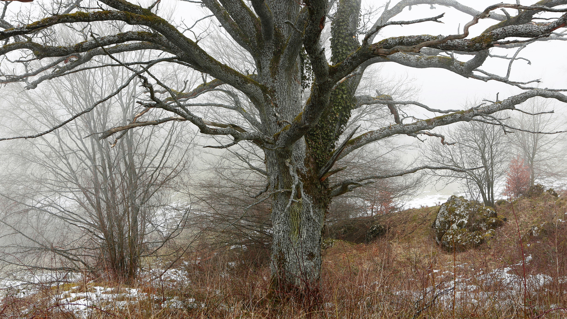 Märzwinter