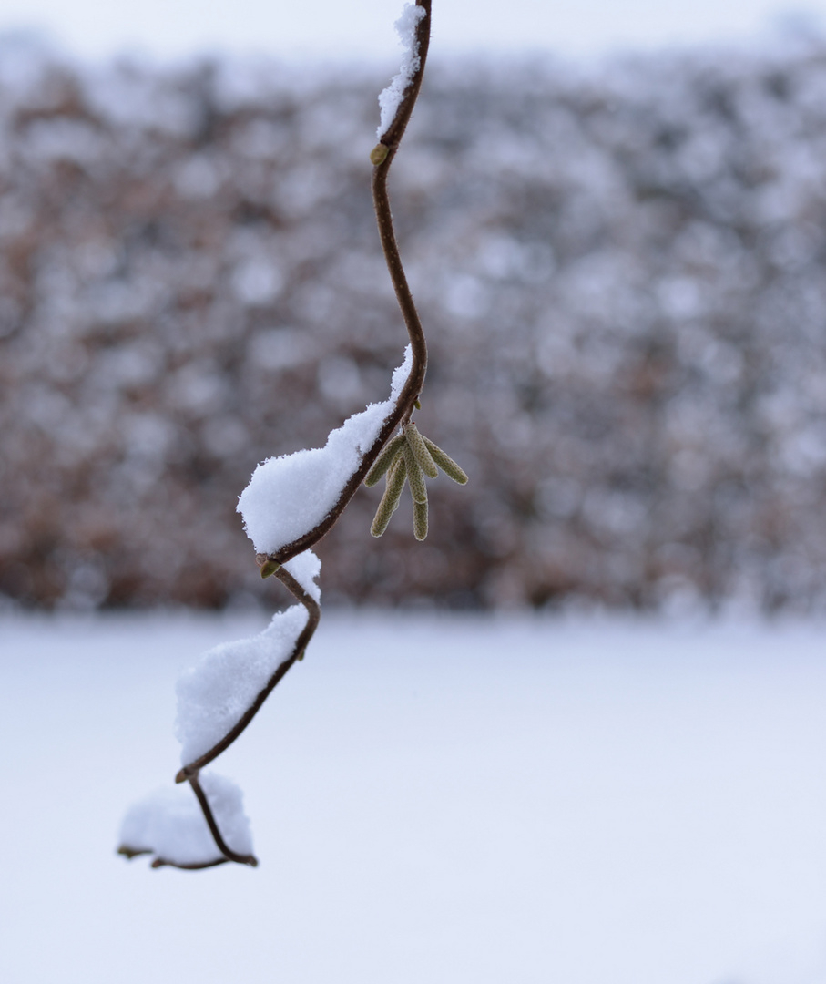 Märzwinter...