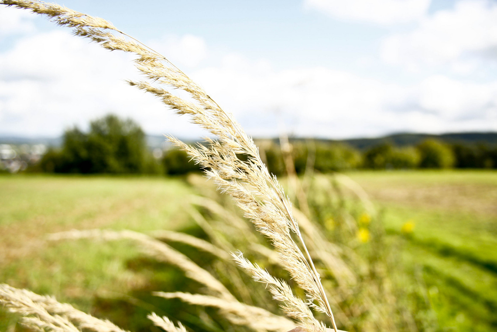 Mäßiger Sommer