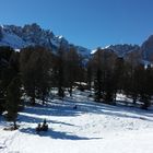 maestose dolomiti  1