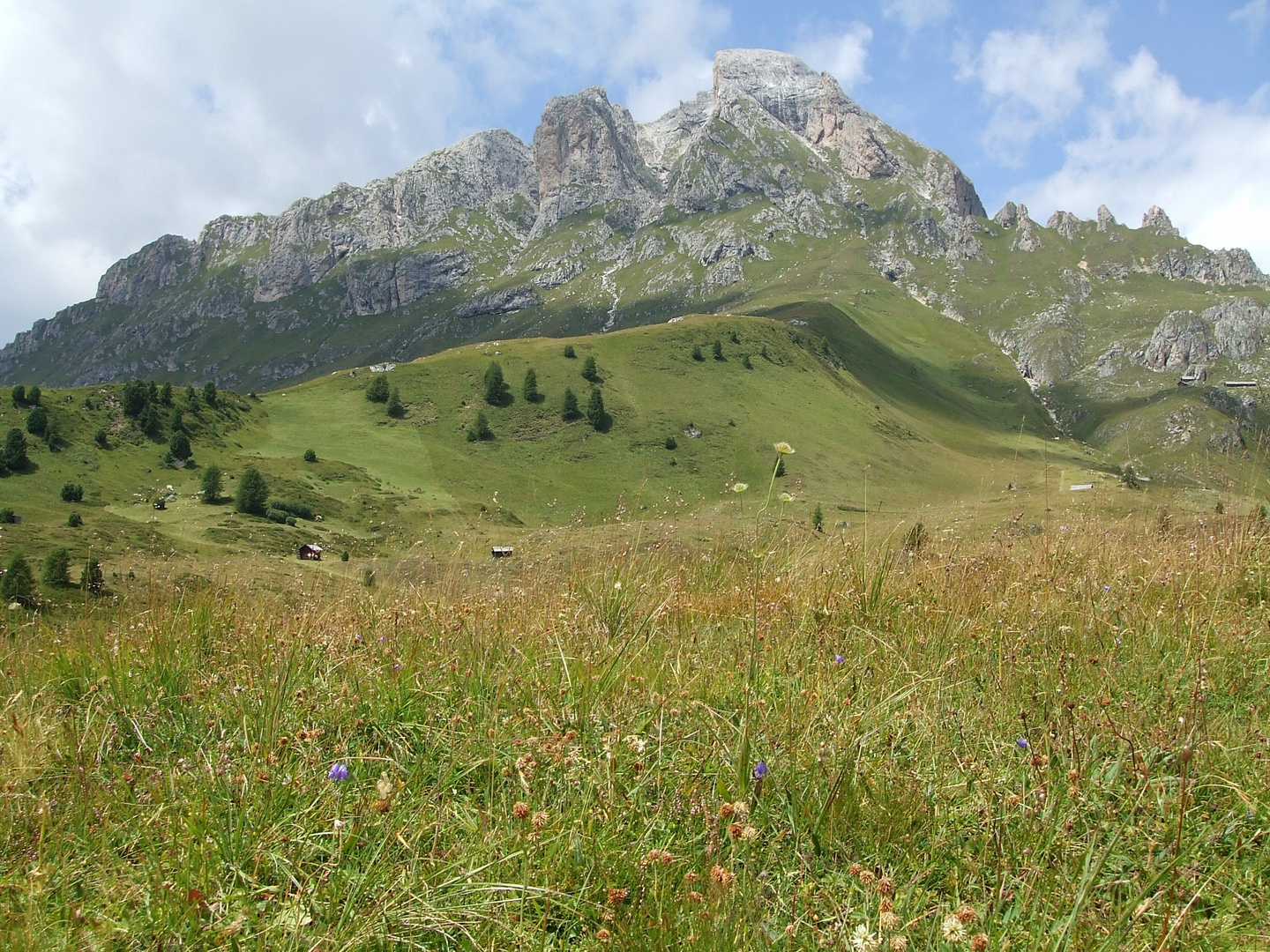 Maestoso sulla malga