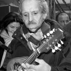 maestro di mandolino