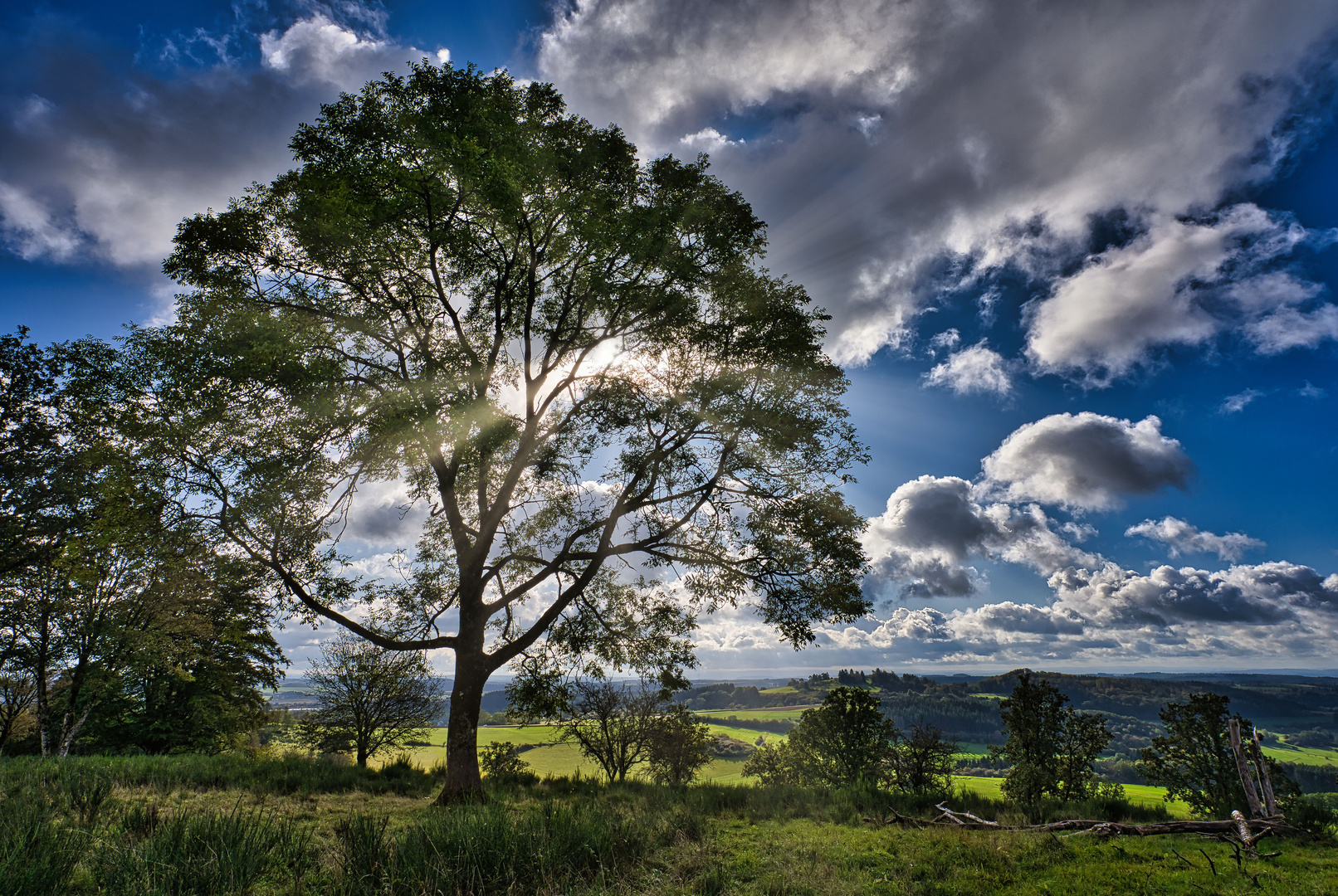 Mäuseberg in der Vulkaneifel