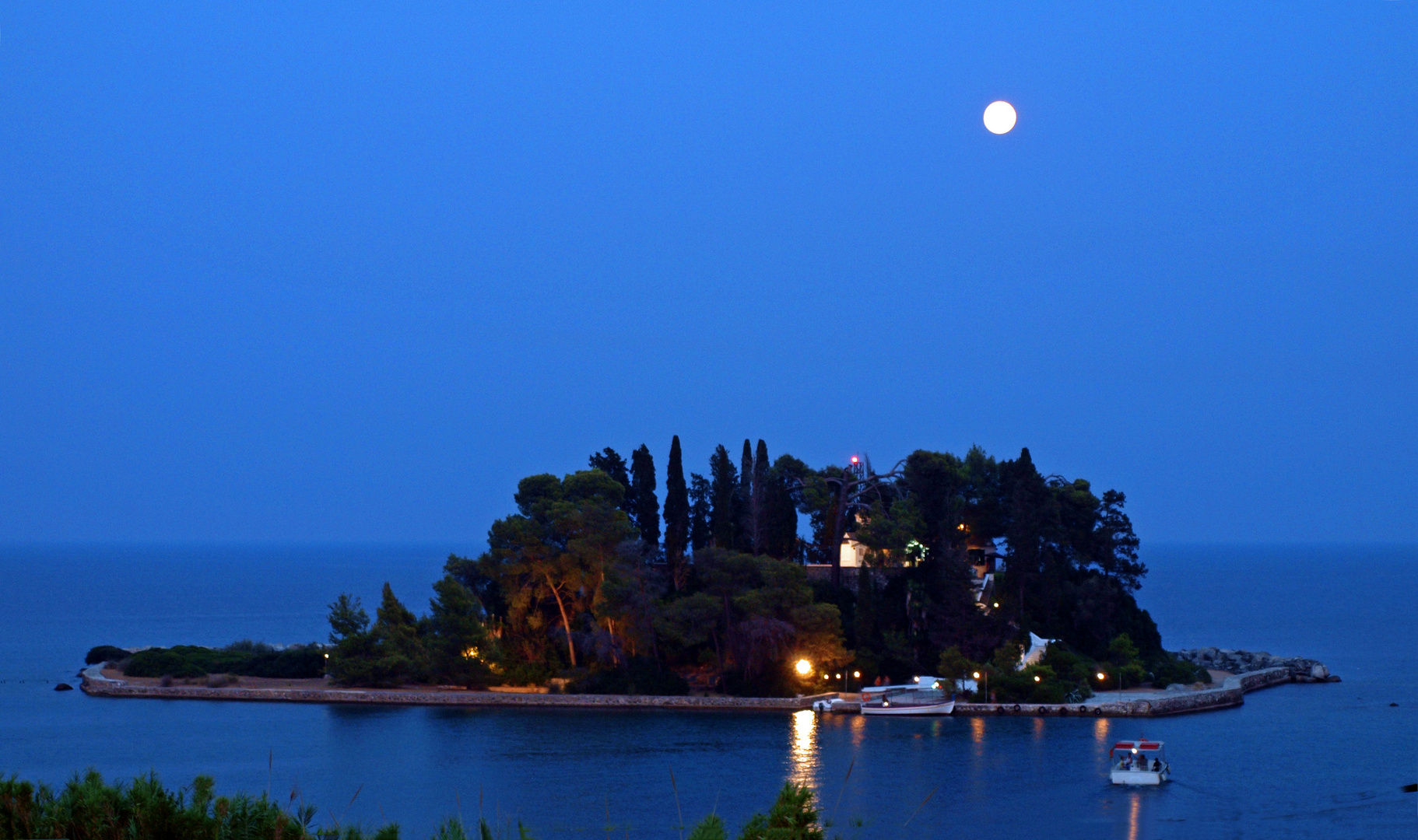 Mäuseinsel unter Vollmond