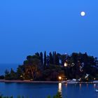 Mäuseinsel unter Vollmond