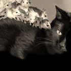 Mäusemassage - ein tierisches Vergnügen...