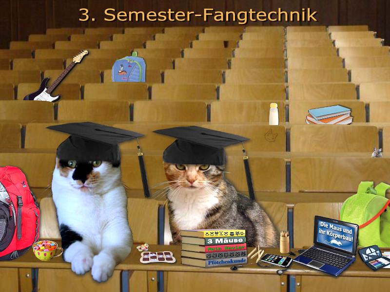 Mäusestudium