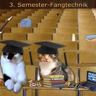 Mäusestudium