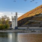 Mäuseturm Bingen