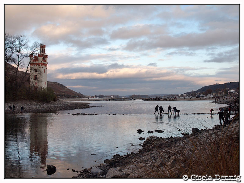 Mäuseturm Bingen bei Niedrigwasser